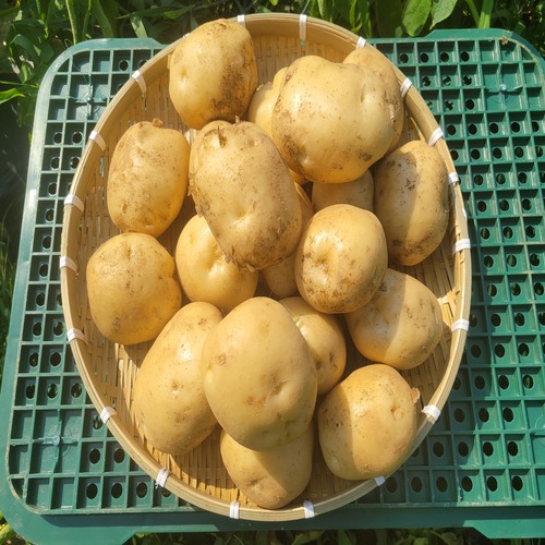 상품이미지